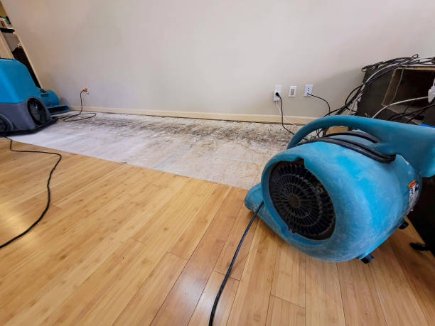 Professional Structural Drying technician working in Seabrook, NH